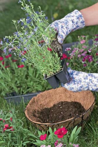 The Right Container for Your Garden